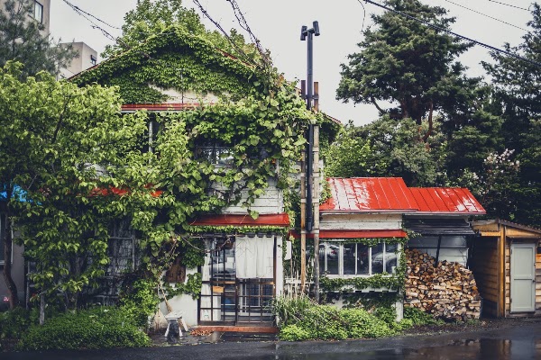 Morihico Coffee 3
