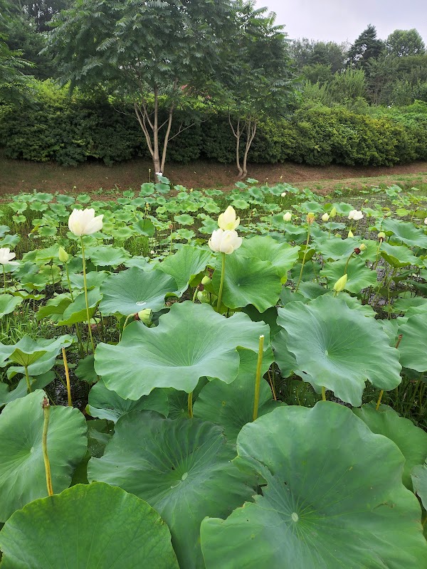 연희자연마당 4