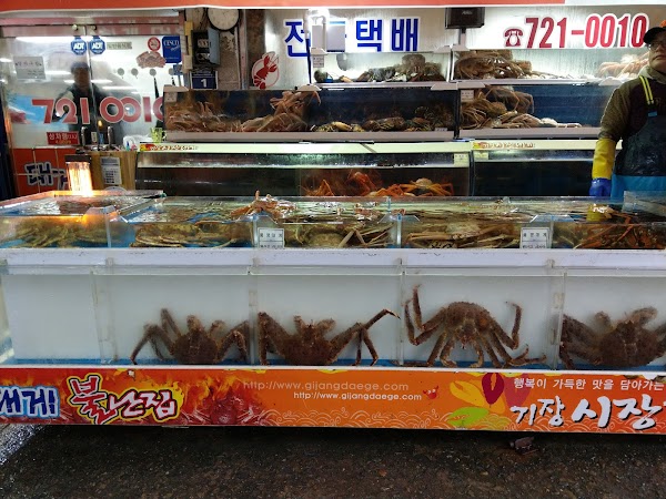 Gijang Market 3