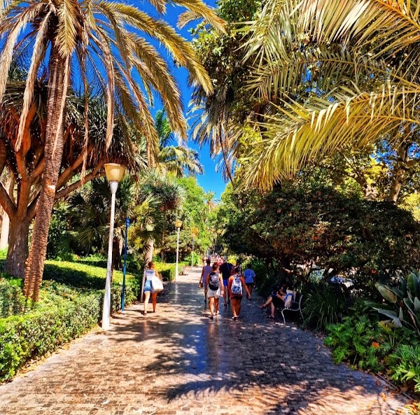 Paseo del Parque