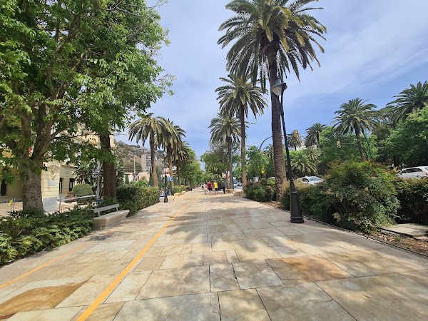 Paseo del Parque 5