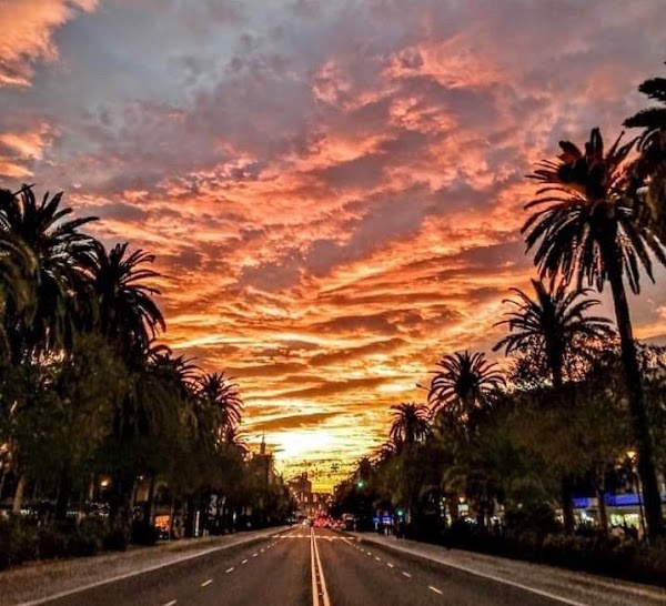 Paseo del Parque 3