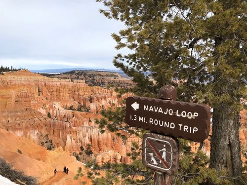 Bryce Canyon National Park Sunset Point 3