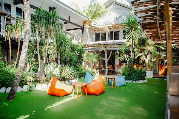 Tropical Nomad Coworking Space