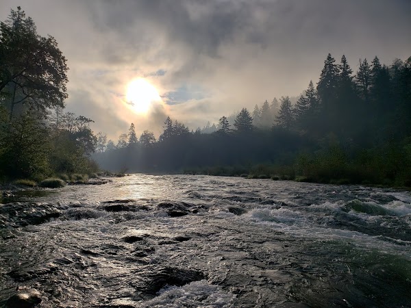 PNW 11