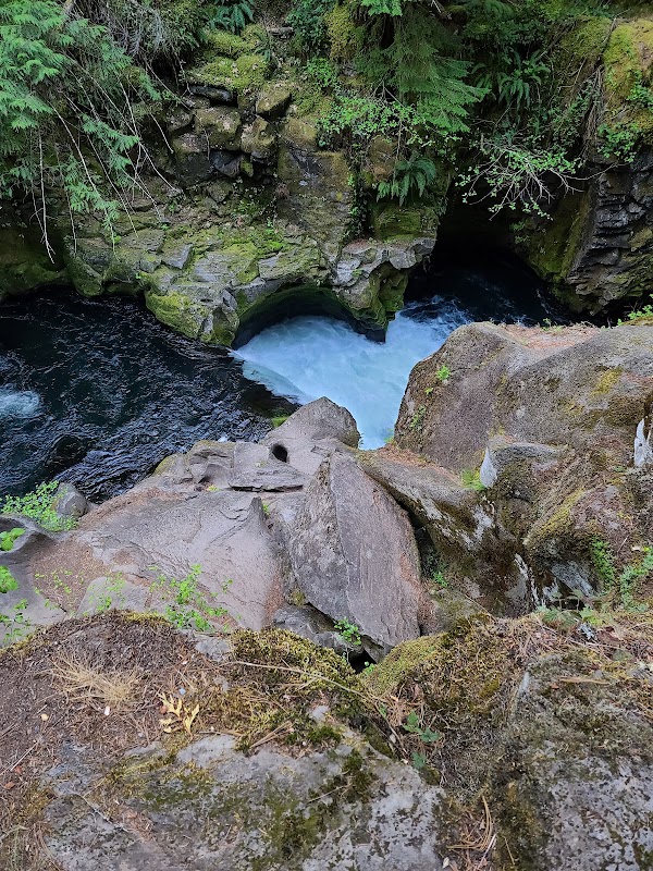 North Umpqua River 4
