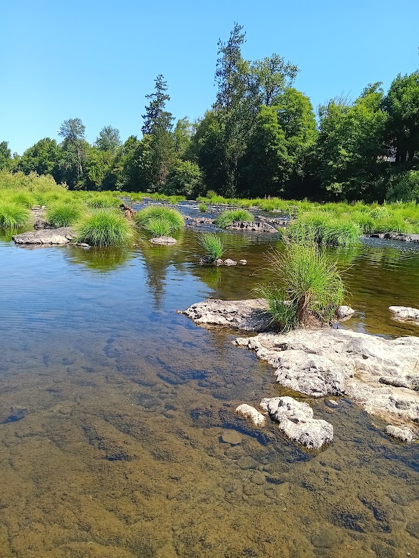 North Umpqua River 2