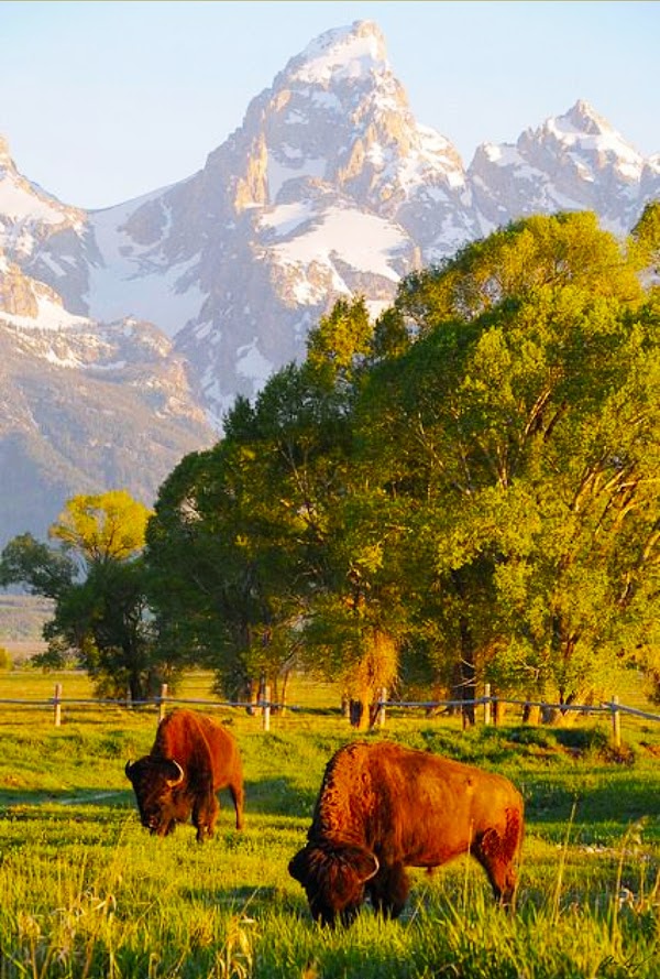 Squaretop Mountain 2