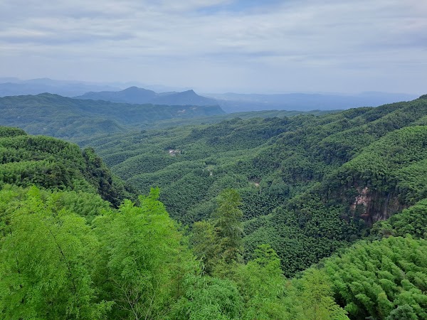 Shunan Bamboo Sea 5