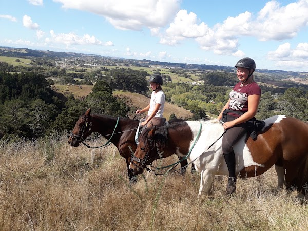 Horse Riding Warkworth 1