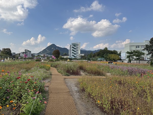 Yeollin Songhyeon Square 2