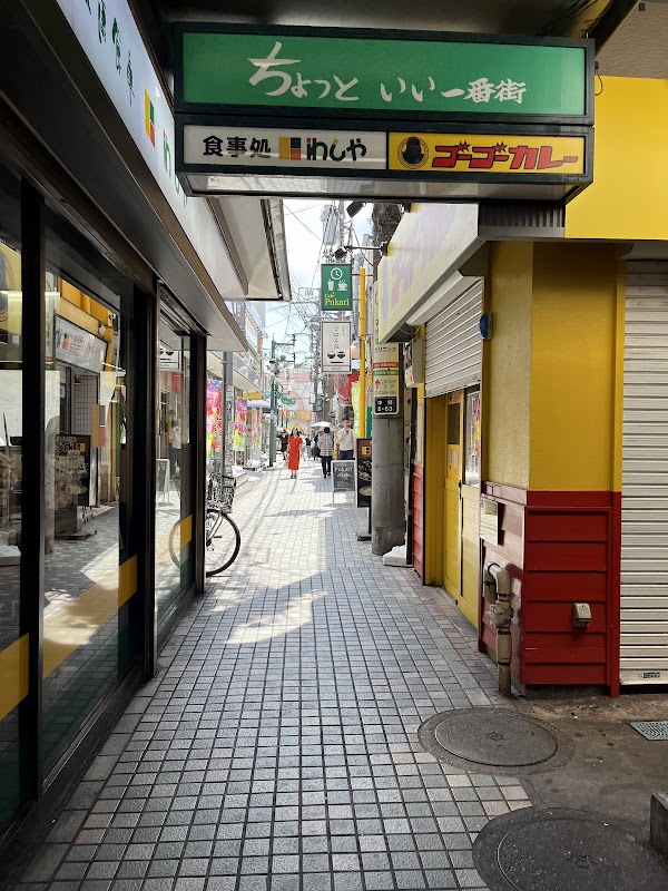 FUJIYA Camera Junk Hall 3