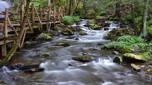 Bushkill Falls