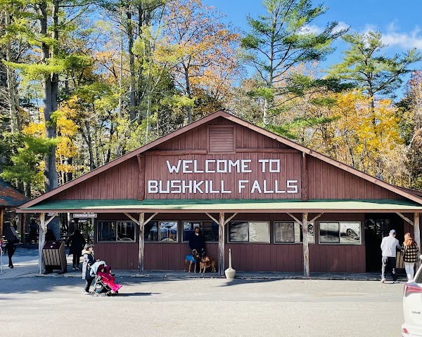 Bushkill Falls 2