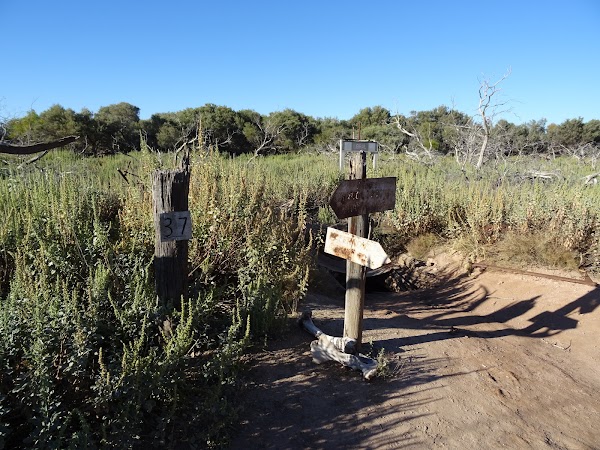CSR Well 37 (Lipuru) 1