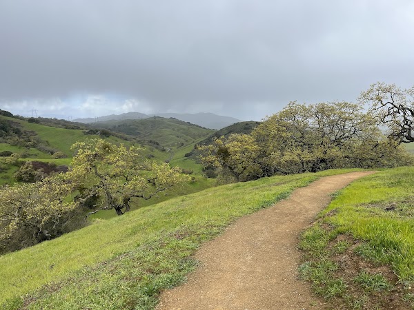 Coyote Valley Open Space Preserve 5