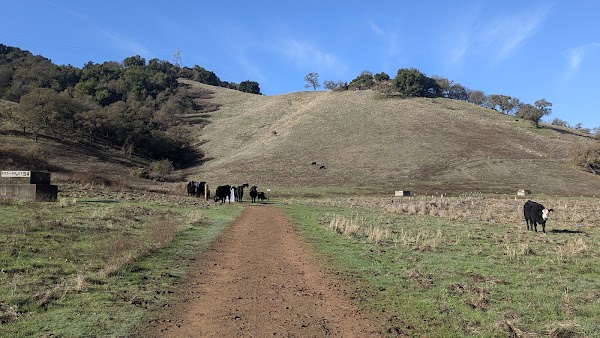 Coyote Valley Open Space Preserve 2