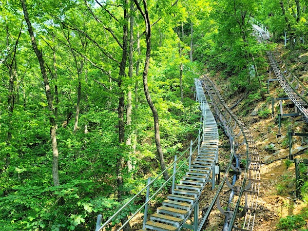 Cheongpung Lake Monorail 4