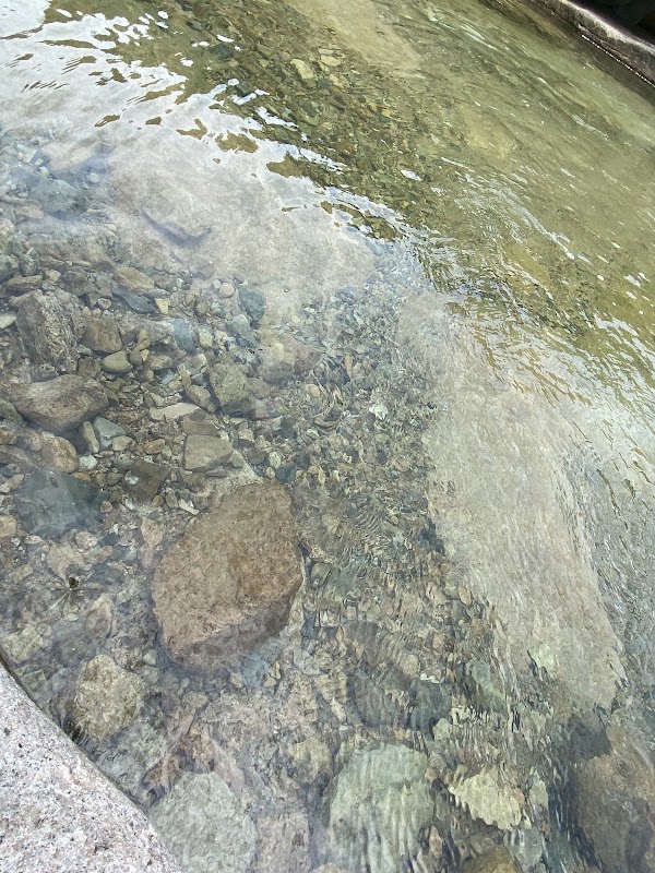 장군봉산장 5