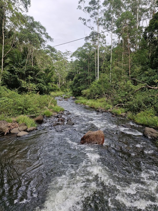 Qld 20