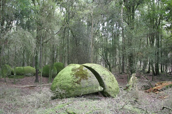 Whitecliffs Boulders 1