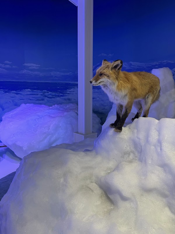 Mt.Tentozan Observatory, Okhotsk Ryuhyō Museum
