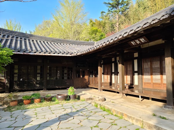 아홉산숲 4
