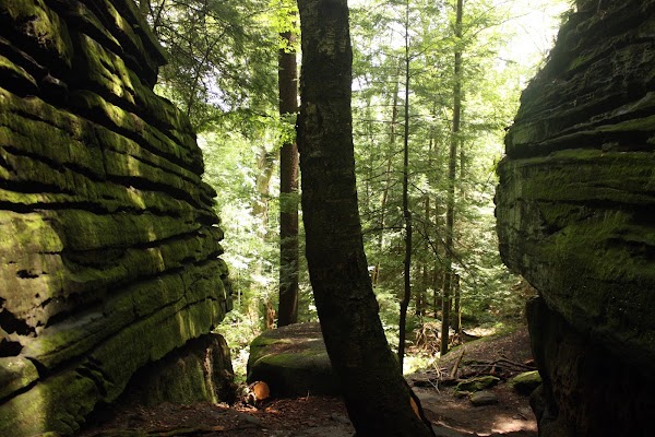 Ledges Trail