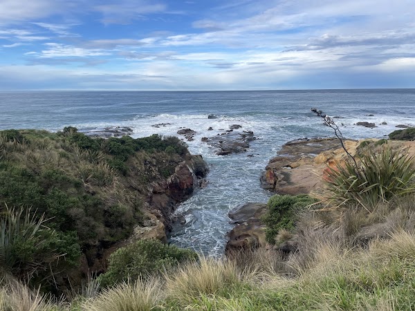 Shag Point Lookout 1
