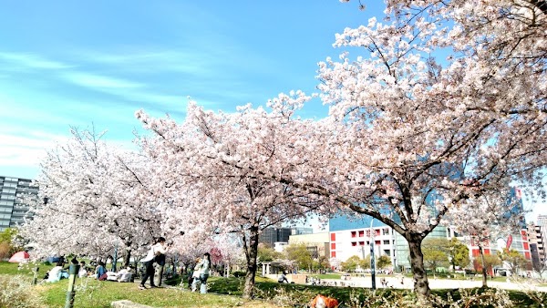 Ōgimachi Park 4