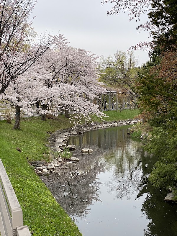 Iris Pond