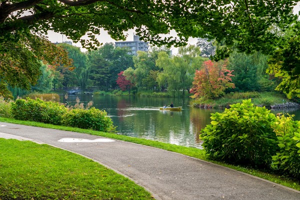 Iris Pond 4