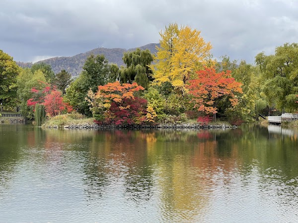 Iris Pond 3