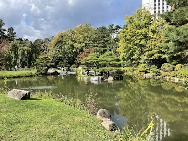 Iris Pond 2