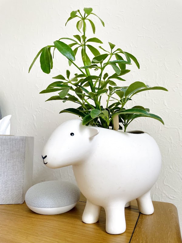 grow urban. 2