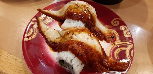 Toriton Kita 8 5