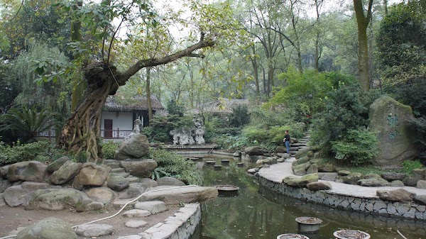 Chongqing South Mountain Botanical Garden 2