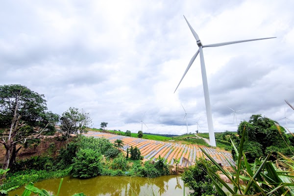 Windfarm Field Khao Kho