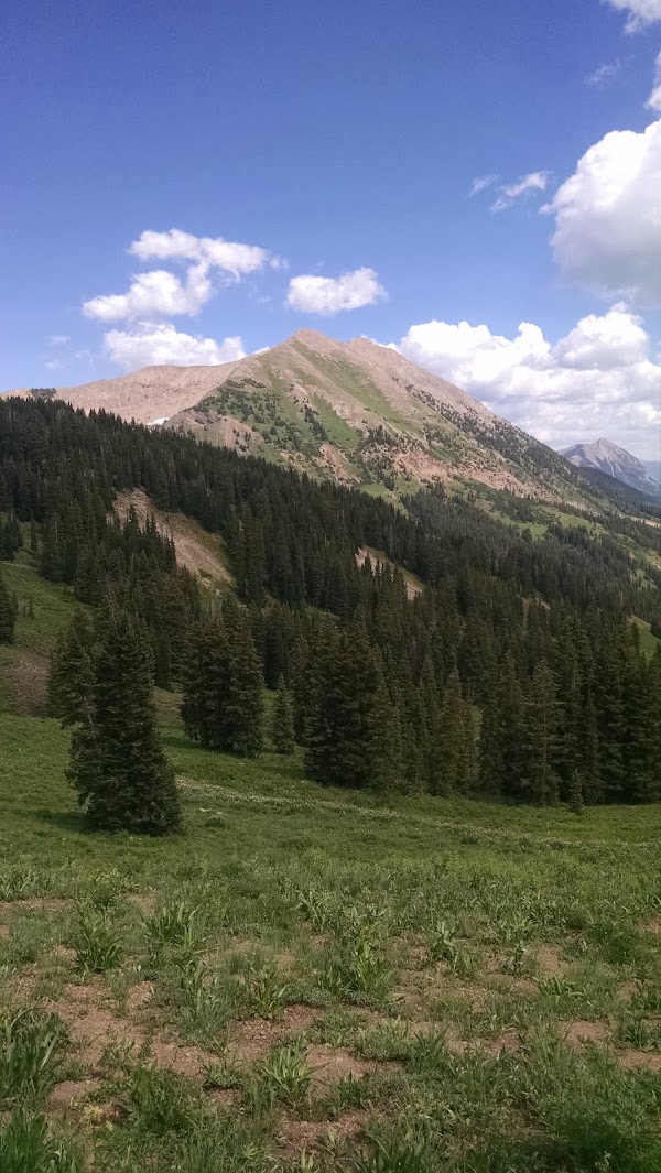 Washington Gulch Road