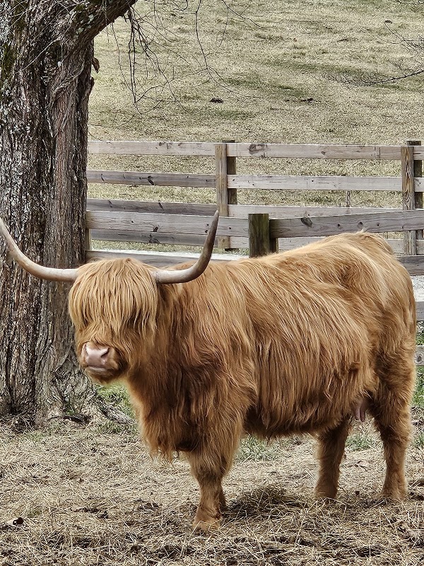 Mill Creek Farms 1