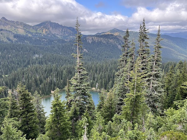 Emmons Vista 1