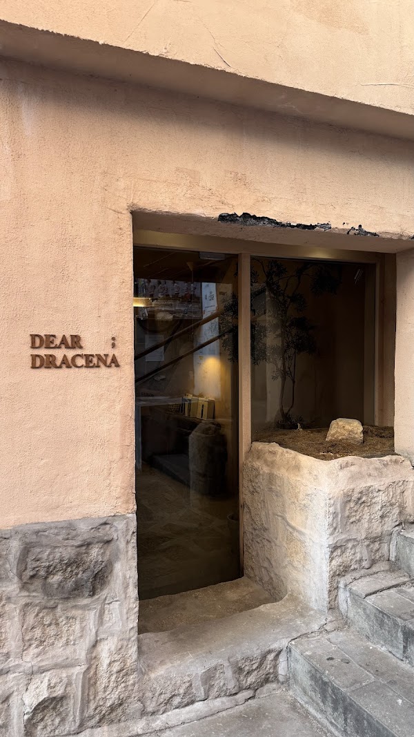 DEAR DRACENA Hannam