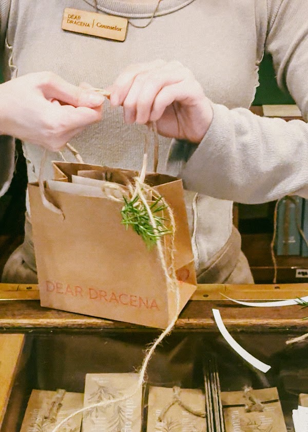 DEAR DRACENA Hannam 4