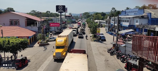 LOS AMATES IZABAL GUATEMALA