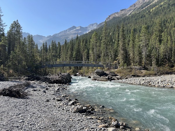 Whitehorn Campground 5
