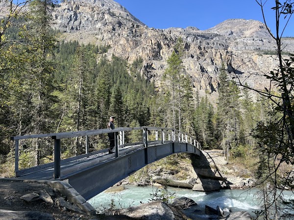 Whitehorn Campground 2