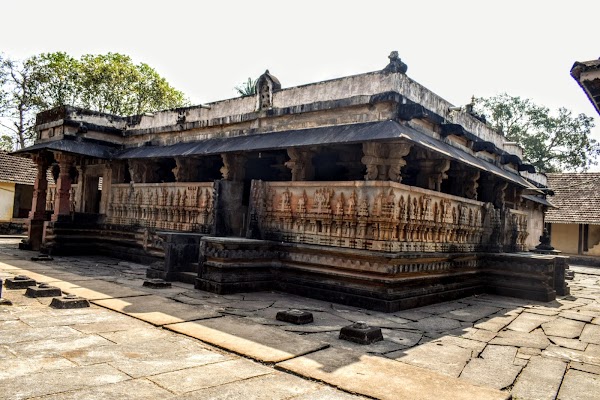 Keladi 1
