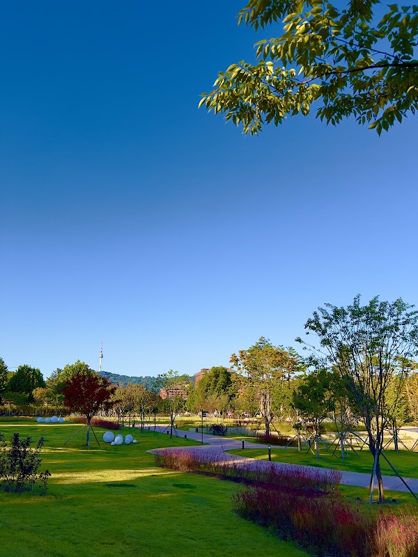 Yongsan Park 4