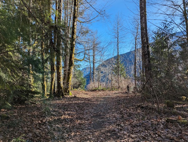 Taylor Arm Provincial Park 3
