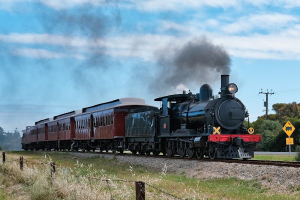 The Cockle Train
